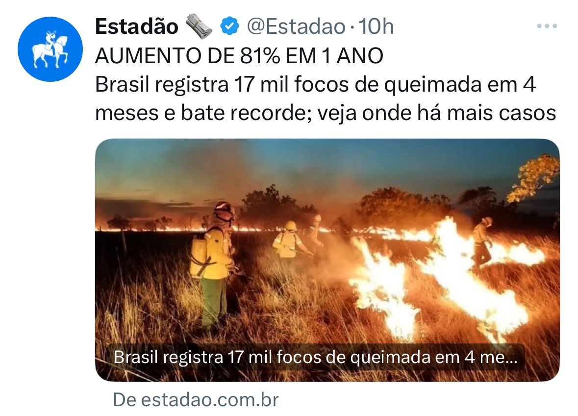 Estou confusa. Esses caras que estão no poder aí hoje não disseram que uma das principais lutas deles era cuidar da floresta amazônica e dos índios? (Bom… por um lado… eles não disseram como iriam cuidar. Na máfia, “cuidar” de algo ou de alguém nunca é algo bom…)