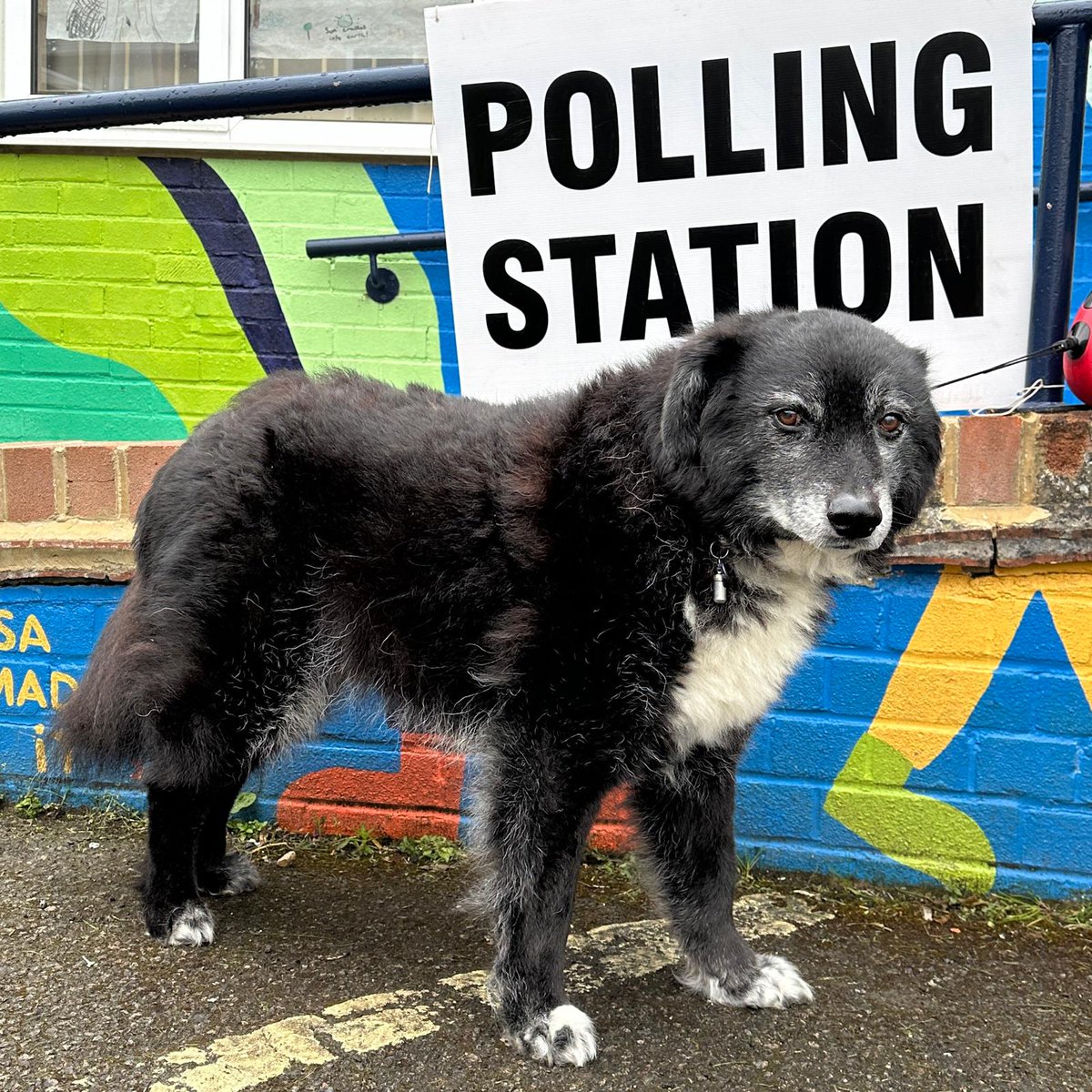 Polling stations will be open from 7am to 10pm today. Please remember to take a photo ID with you. Feel free to tag us in any pictures of your #dogsatpollingstations 🗳️🐾 #LocalElections #Oxford #Elections2024
