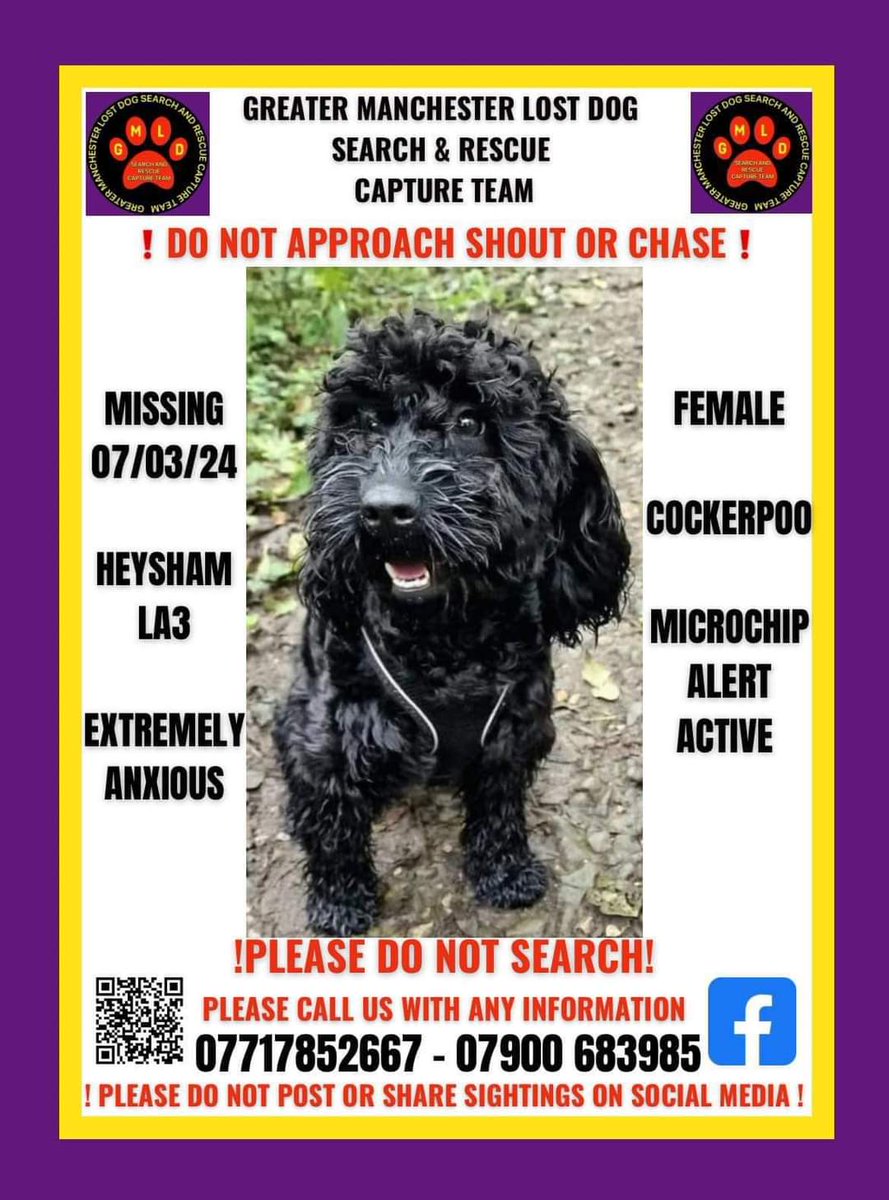 DOLLY IS STILL #MISSING Dolly was last seen in Heysham #Lancashire #la3 on 7 March 2024