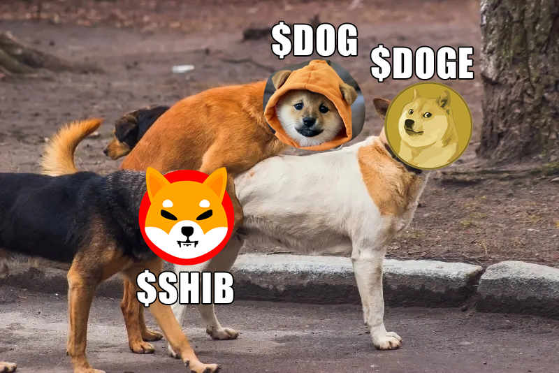 TOP $DOG
On the top chain #Bitcoin