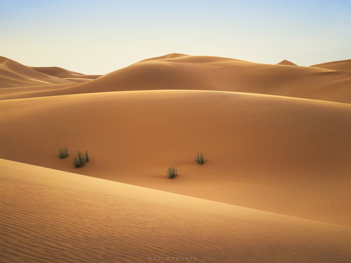 من قلب صحراي الرياض، بعدسة الرائد الجديد #HUAWEIPura70Pro