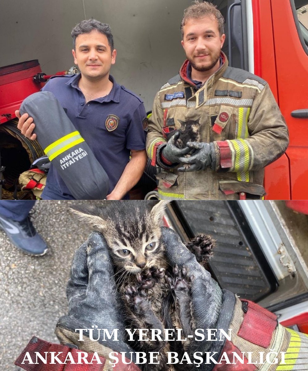 Artık güvende!.. İlimizde 2 gündür süren sağanak yağıştan dolayı sel sularının etkisiyle mahsur kalan kedi yavrusunu kurtaran Ankara B.B. İtfaiye Daire Başkanlığı Ekiplerinden @ahmettstrr Ahmet SATIR ve @brknshnn Ali Berkan ŞAHAN'a teşekkür ediyoruz. @mansuryavas06 @ankarabbld