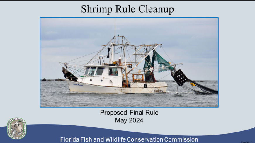 Proposed Final Rule – Shrimp Rule Clean-Up. Presentation: bit.ly/3UFCQS8#FWC2024