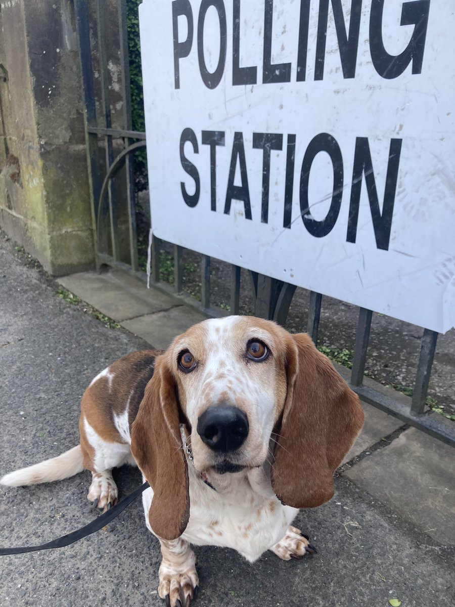 All done  #dogsatpollingstations