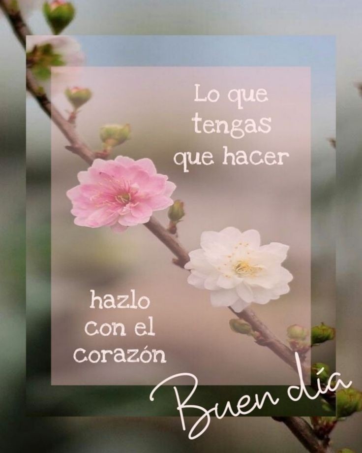 #BuenosDías #FelizJueves 
🙏☀️☕✨🩷🌷🤍🎼🥰😘🫂