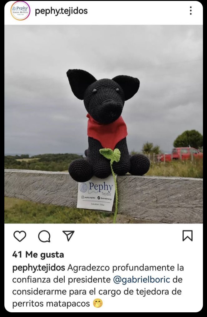 Boric miente de nuevo... Hicieron del perro matapacos una pyme..