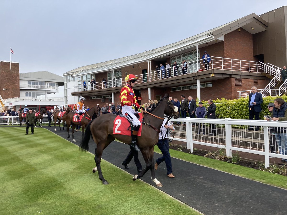 Happy Helen looking well in the paddock before the first at @Redcarracing