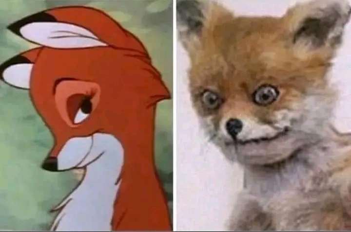 Girls 
On their profile pic vs girls in reality