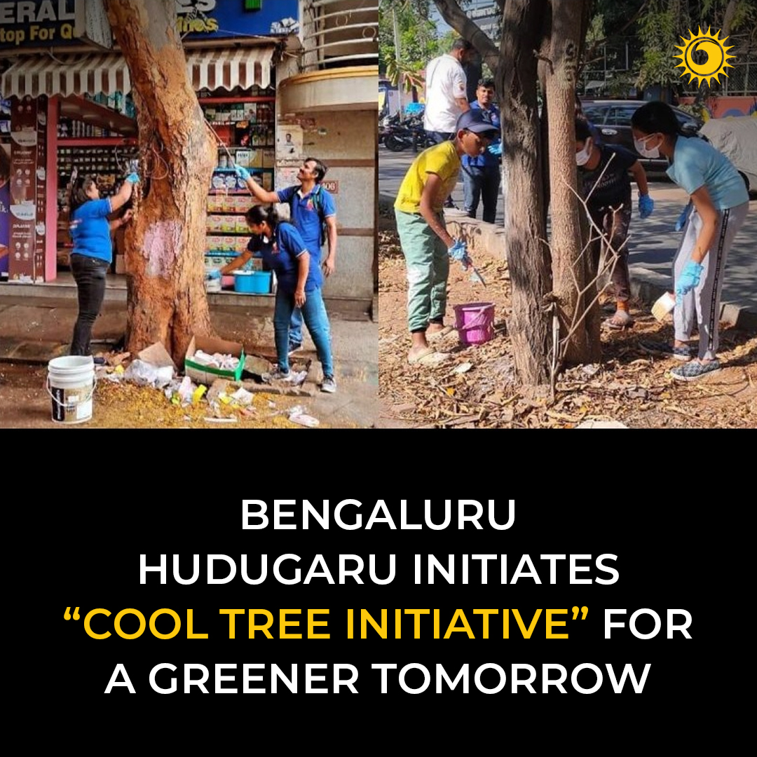 'Bengaluru Hudugaru's 'Cool Tree Initiative' drives a greener future! 🌳💚 Support their sustainable effort.'

Read more👉 thebrighterworld.com/detail/Bengalu…

#GreenerTomorrow #Bengaluru #SustainableBengaluru #green #PlantTrees #NatureGuardians #ClimateAction #exploreindia #viral