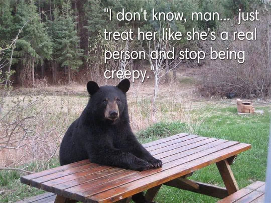 The bear vs man controversy:
