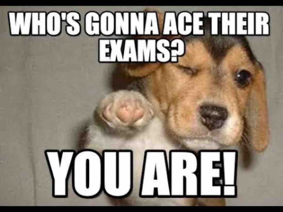 Students, good luck on your final exams! You can do this! #OneOfUs