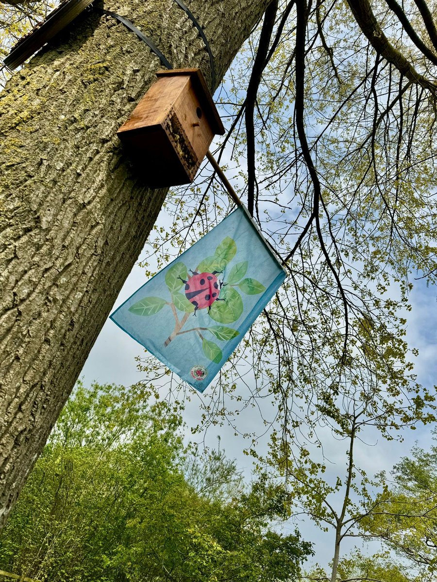 We have just opened our #PertonLibrary Nature Trail; a community collaboration project involving @juneauprojects , library groups & the local community. Funded by @libsconnected @NaturalEngland @ArtsinLibraries Pick up a FREE leaflet at the Library! #cultureNature #GreenLibraries