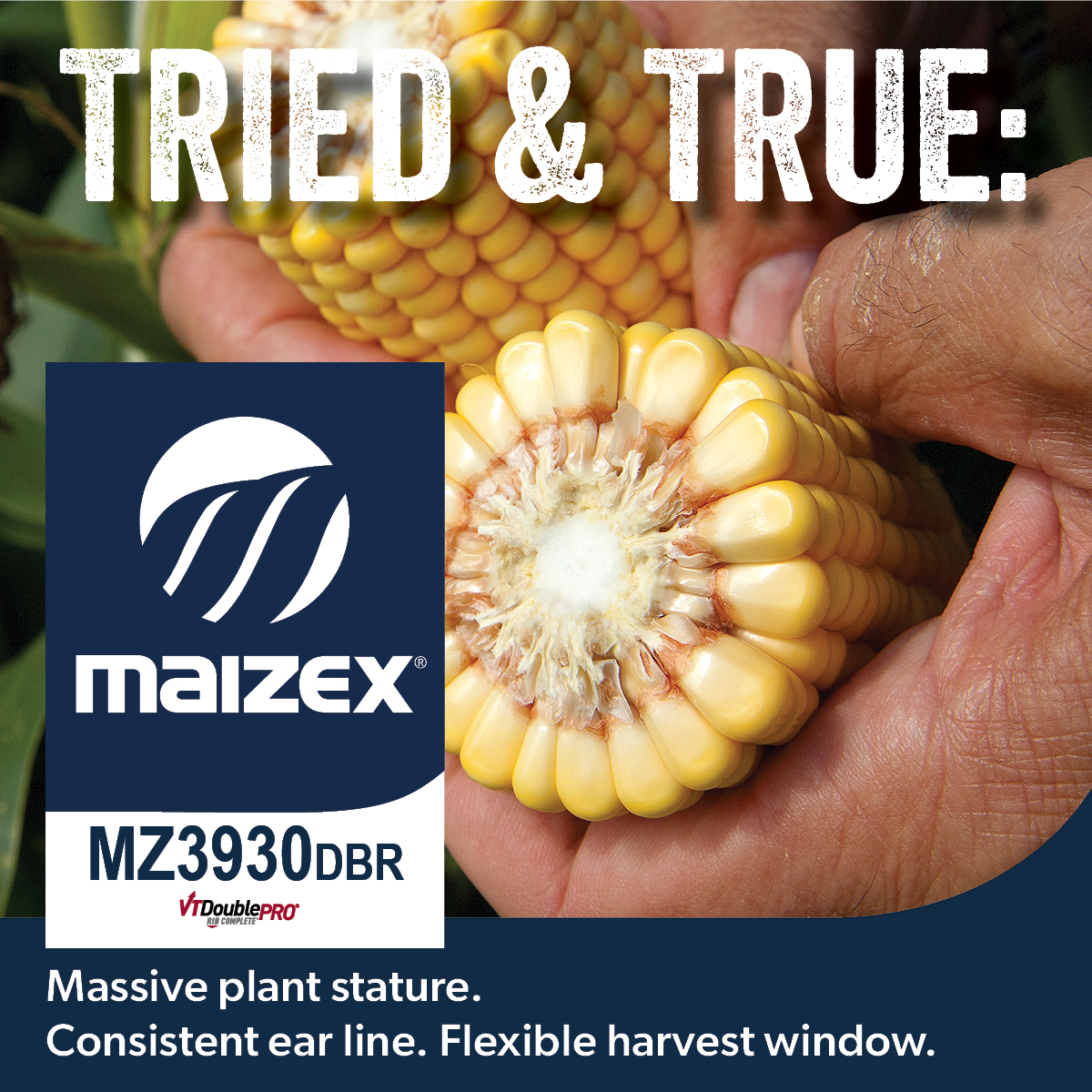 Still need some seed? Talk to your #MaizexDealer about which hybrids are best for you! #fieldbyfield #Plant24 #CanadianGrownCanadianOwned