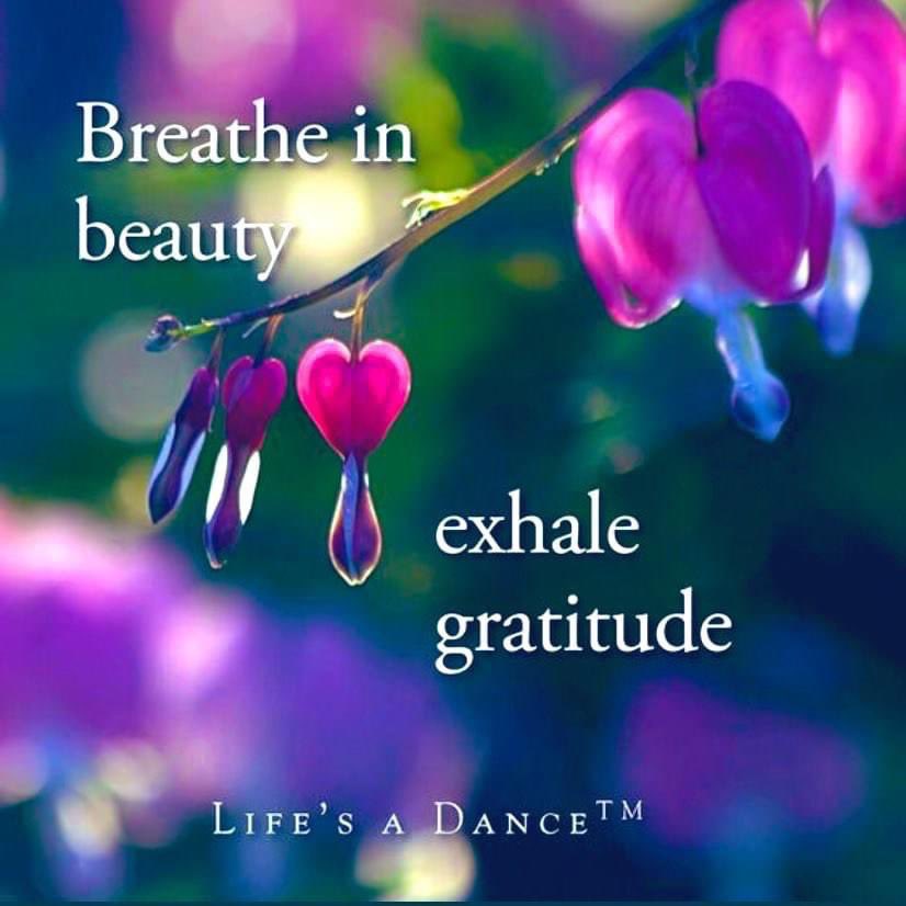 Take Time Today To PAUSE And DO THIS‼️❤️🙏😇