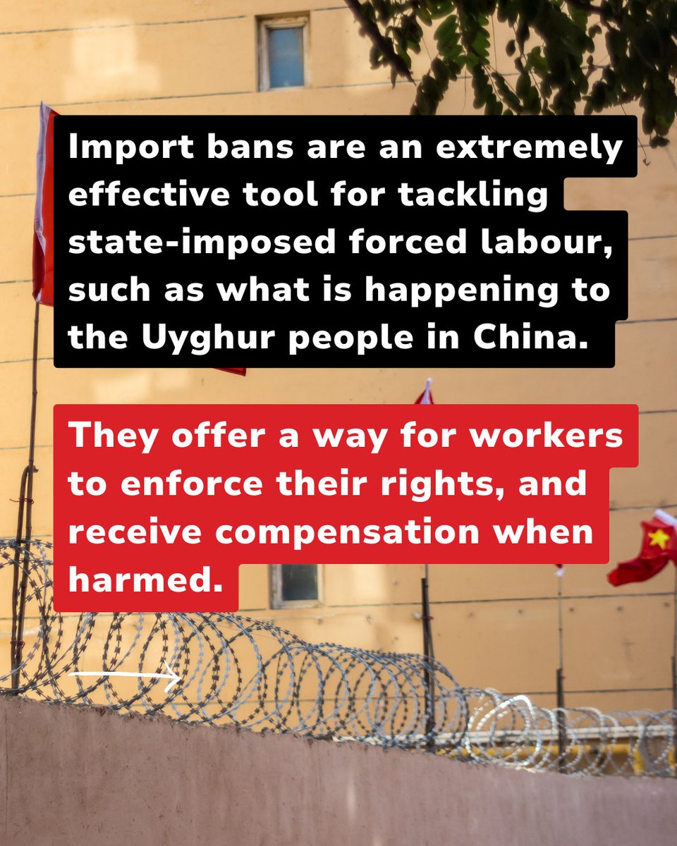 📢We all want to buy goods knowing that nobody has been harmed in making them, but the UK is at an increasing risk of being a dumping ground for goods made with #forcedlabour.

Importing goods made with forced labour should be illegal.✍️Sign now: antislavery.org/sign-ban-goods…