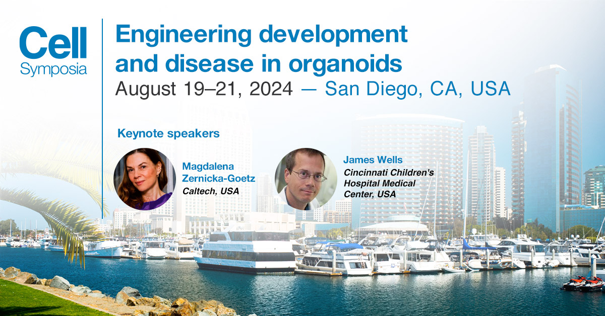 Keynote speaker James Wells @JimWellsLab @CincyChildrens presents “Engineering cellular complexity into human PSC-derived gastrointestinal organoids” @CellSymposia #CSOrganoids2024. Join the program, deadline May 10. hubs.li/Q02vG0cm0