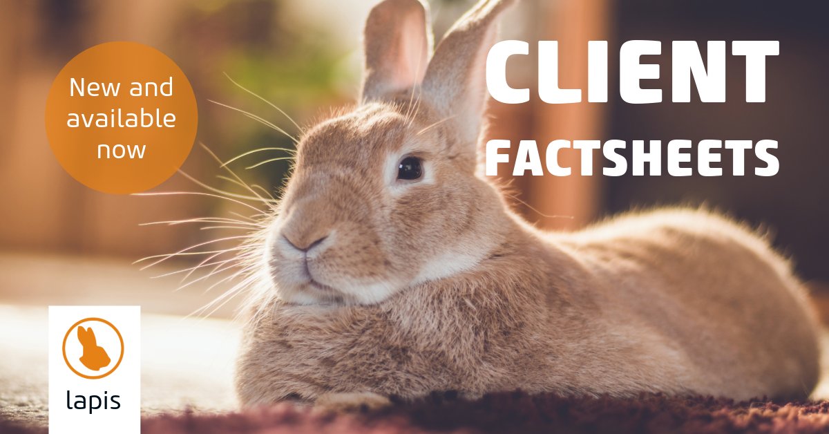 Help your clients understand the conditions that may be affecting their pets. 

Check out these new Client Factsheets that have been added to #vetlexiconlapis: Biopsies, Cruciate liagment trauma, Euthabag pet body bags, Tetanus.

bit.ly/3Jq97pT