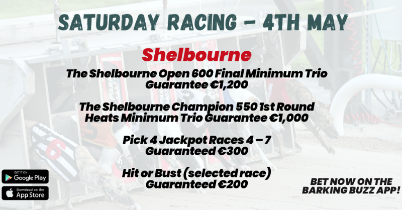 🏟️𝐒𝐀𝐓𝐔𝐑𝐃𝐀𝐘 𝐓𝐎𝐓𝐄 𝐆𝐔𝐀𝐑𝐀𝐍𝐓𝐄𝐄𝐒🏟️ 🔥The Shelbourne Open 600 Final 🏆The Shelbourne Champion 550 1st Round Heats TONIGHT 💶 FREE Bet for NEW customers 𝗕𝗘𝗧 𝗡𝗢𝗪 on #BarkingBuzz App Or visit barkingbuzz.grireland.ie #GoGreyhoundRacing #GreyhoundRacing
