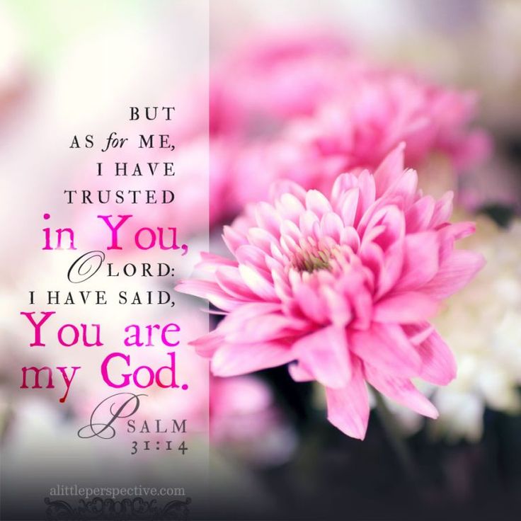 YOU ARE MY GOD I TRUST