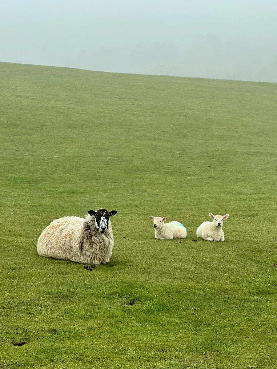 Good to see the Greenkeepers out on the course bright and early at Cleeve Hill this morning… 

#golftwitter