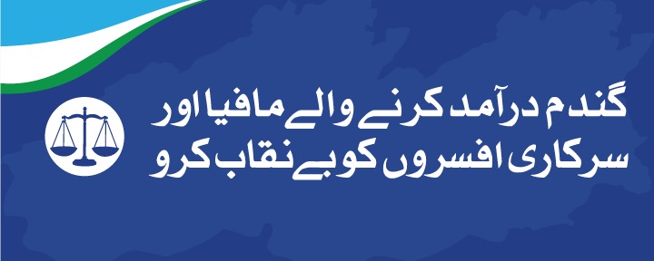 #گندم درآمد کرنے والے مافیا اور سرکاری افسروں کو بے نقاب کرو #حافظ_نعیم_کا_الٹی_میٹم