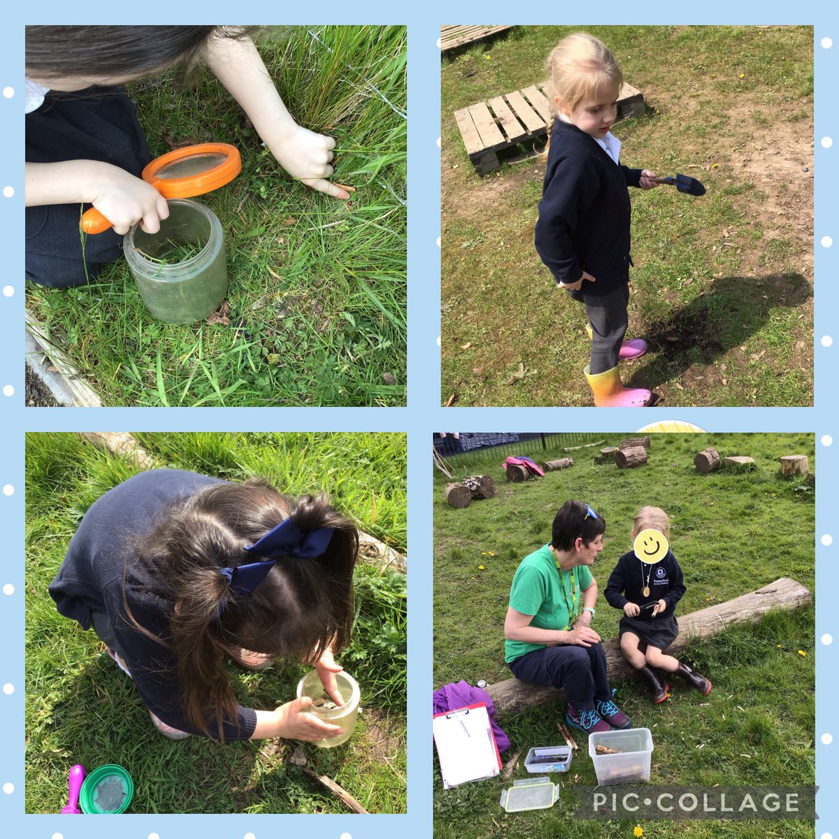 Hedgehog Class are having a glorious afternoon bug hunting and whittling in the sunshine, Spring has finally sprung here @PoppyfieldSch ☀️🪲🕷 #forestschool #bughunt #sunshine

@MrsPBooth @PoppyfieldHead