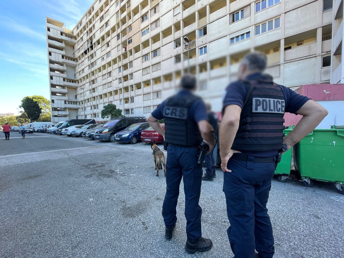 #Sécurité | 🚨Opération #AntiStups à Pontcarral à #Toulon : 
 4⃣ personnes interpellées
✅ Saisie de 1,2 kg de cocaïne, 2,3 kg de résine de cannabis et 67 000 €  
👏Félicitations aux équipes de @PoliceNat83 La mobilisation contre les #Trafics continue !