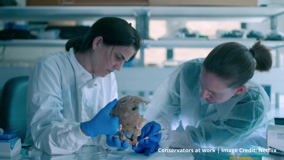 📽️ Muy emocionad@s por el documental 'Secretos de los Neandertales' estrenado hoy en @NetflixES y poder ver el excelente trabajo de #conservación y #reconstrucción del cráneo de #Shanidar_Z por parte de nuestra compañera @lucia_lpolin y Emma Pomeroy de @UCamArchaeology 🔝🔝