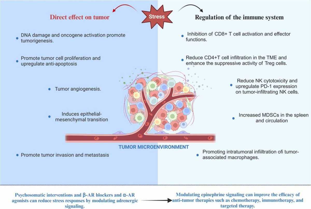 Effects of chronic stress on cancer development and the therapeutic prospects of adrenergic signaling regulation… sciencedirect.com/science/articl…