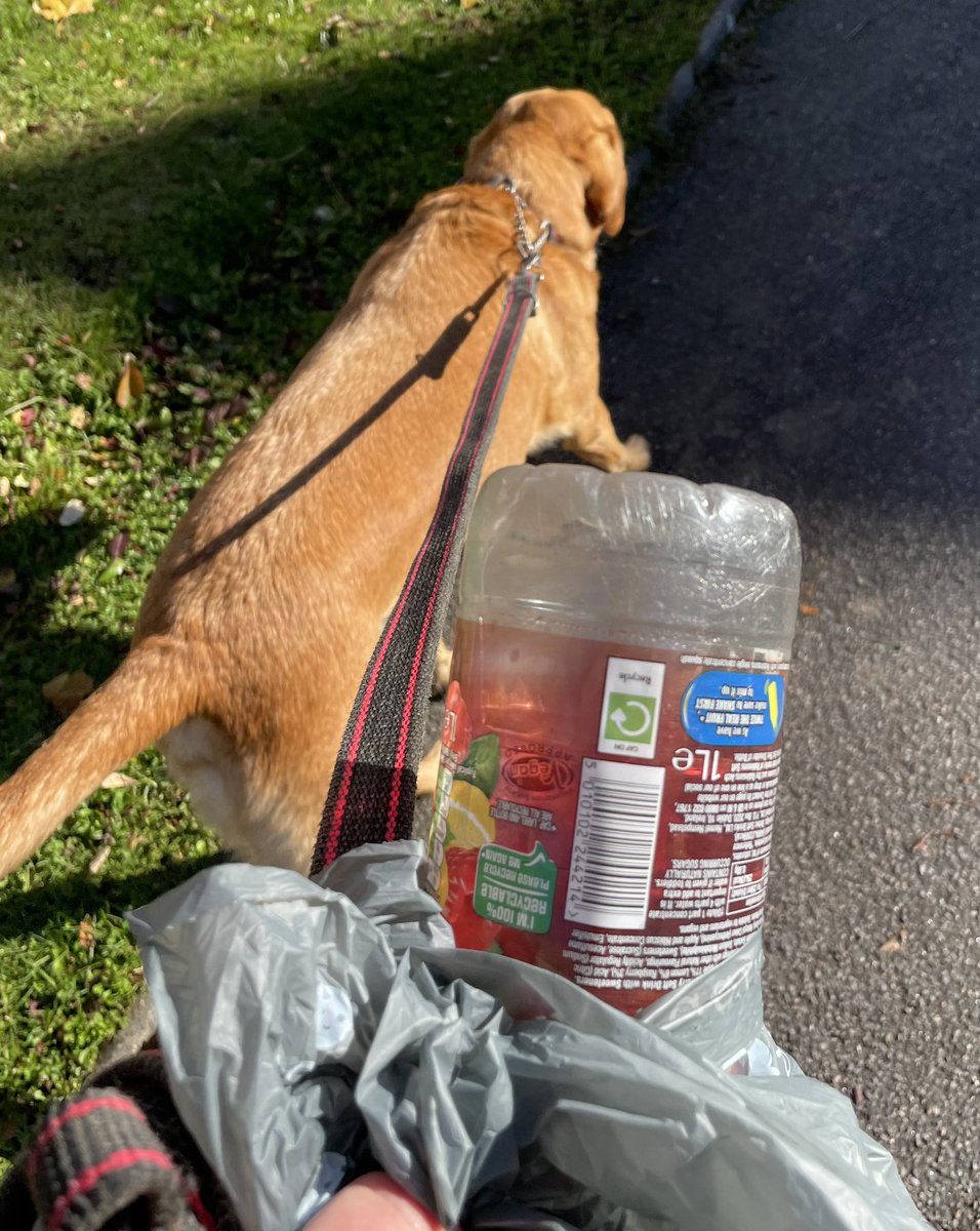 Dropping #litter & walking past it has become normalised. Let’s normalise NOT dropping it & picking it up. It only takes a minute. #dontwalkby #dogcharity #dogowners #dogwalk #walkingthedog #dogsofx