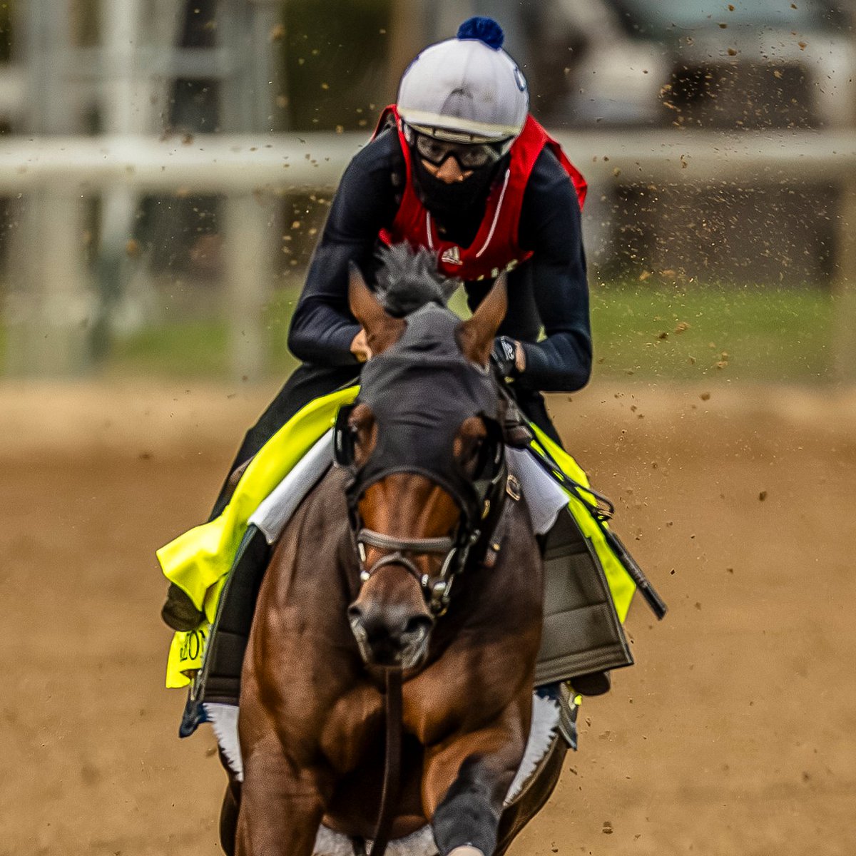 @coadymediagroup #15 Domestic Product

Domestic Product is a homebred for owner Klaravich Stable, who owned the colt's sire, Practical Joke, on the racetrack.