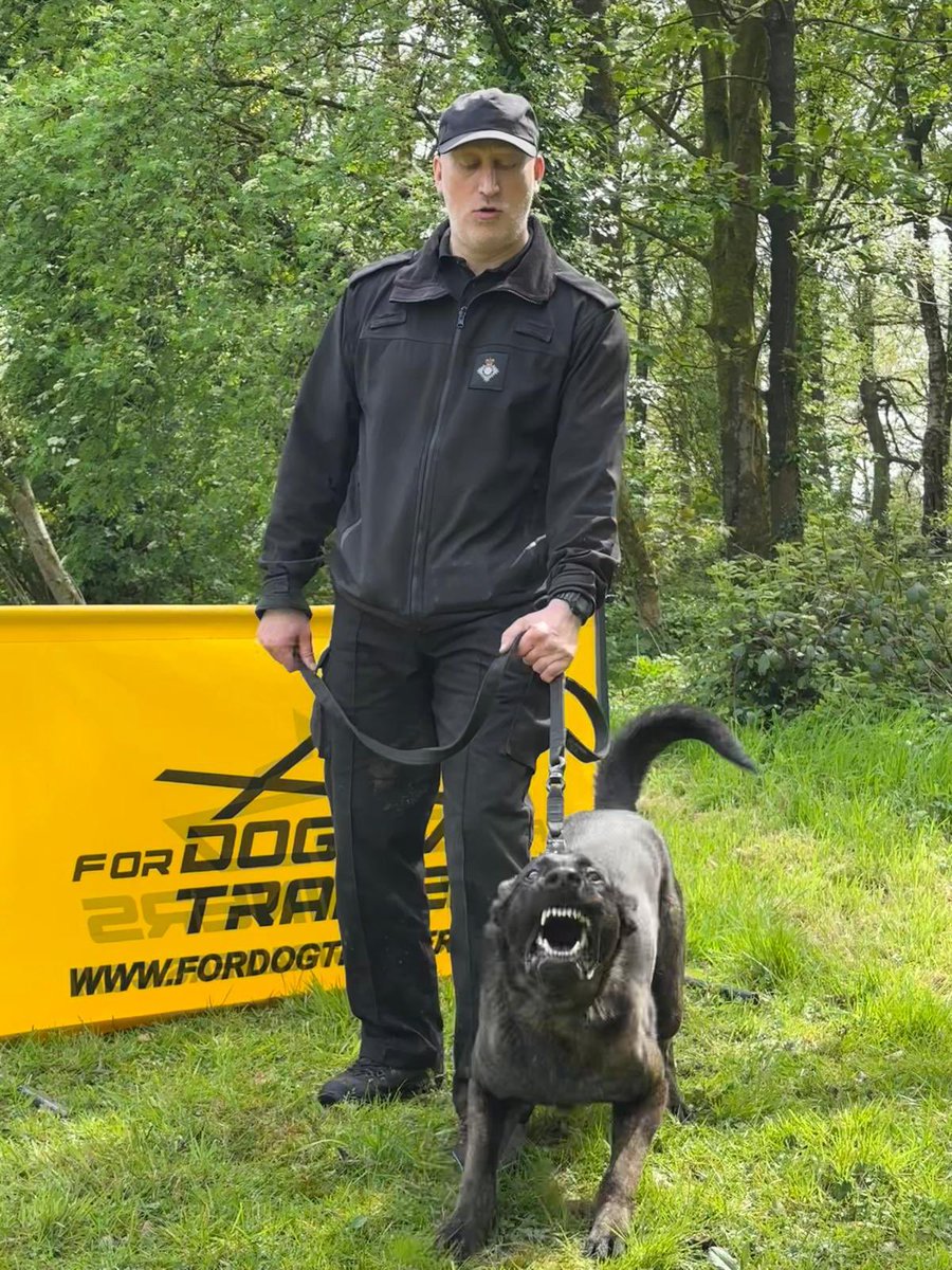 A huge congratulations to GPD Panther and his handler on a successful annual License today. This team have been together just over a year and have become a very competent duo. They work at @HmpManchester helping to keep those that are there safe. 👏👏👏 #HMPPS #MOJ #workingdogs