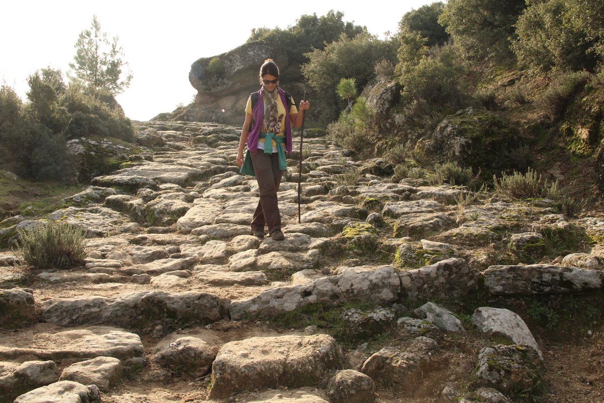 Latmos’taki antik yola beton döktüler!

2 bin 500 yıllık taş döşeme antik yolun bir kısmına dökülen beton kaplama, doğaseverleri harekete geçirdi. Tahribat yaşanan yol için kurul kararı alındı.

bodrumhabermerkezi.com/latmos-taki-an…