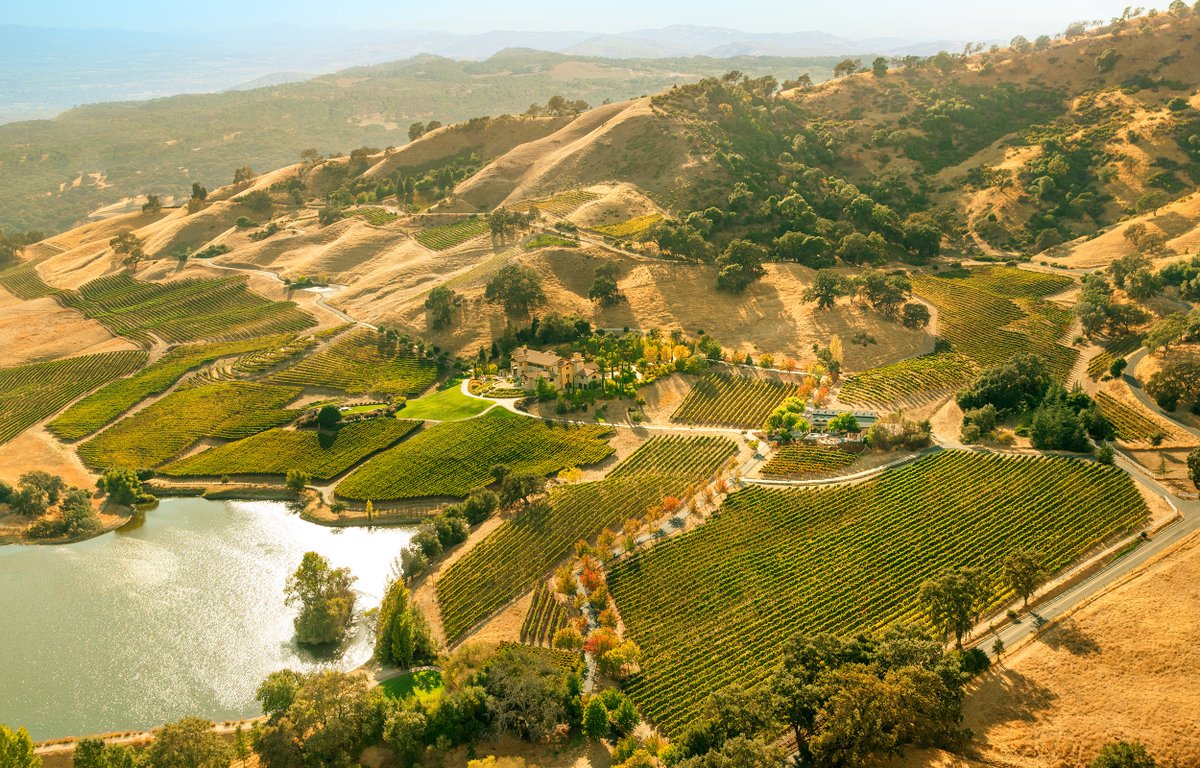 #tbt. One of our favorite series <a href="/wohlwender/">Wohlwender</a> did for an advertising campaign. The Hestan Vineyard and “barn” - a think tank masterpiece for original culinary thinking. And one inspiring piece of land. Napa, CA.
#northerncalifornia #winecountry #culinary #vineyard #adphotographer