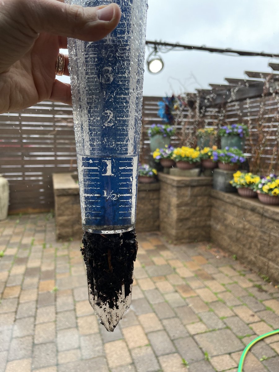 12:36 pm- We have 1.2 inches in the rain gauge at the studio in Northwest Rochester. 1.3 inches officially at the Rochester International Airport today. Light rain will taper off in the next couple of hours. #rochmn #kttcwx