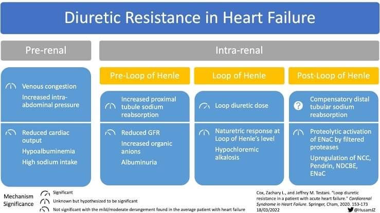 🔴 Diuretic Resistance in Heart Failure

nephjc.com/news/2022/3/21…
#CardioTwitter #CardioEd #CAAKI
#Epeeps #CardioTwitter #EHRA2024
 #CardioEd #Cardiology #FOAMed #meded #MedEd #Cardiology #CardioTwitter #cardiotwitter #cardiotwiteros #CardioEd #MedTwitter #MedX #cardiovascular