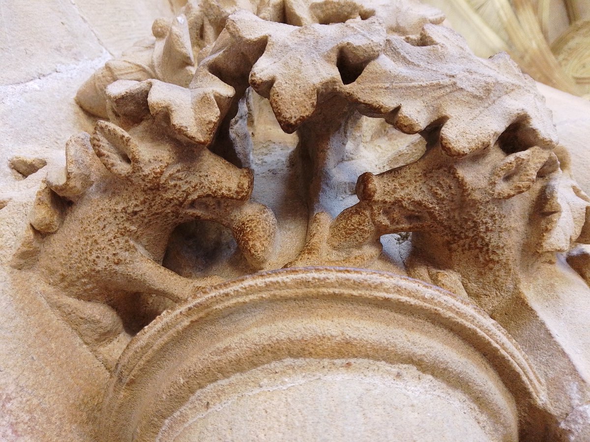 This week's 1st #Southwell140 exhibit are these HIDDEN PIGS🐗 These cute little stone creatures are concealed underneath a column in the Chapter House. They're feeding on acorns beneath an oak tree. There are more little pigs hidden elsewhere in the Minster, do you know where?🔎