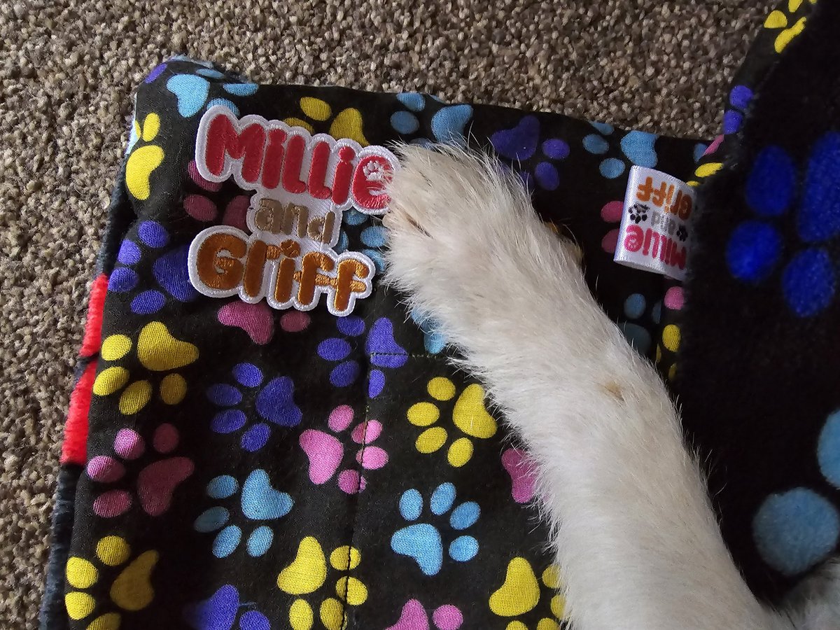 Our new 'colourful paws' Cuddle mats has our BRAND NEW Millie&Griff branding 🥰🥰 what do you think?? Now available on our Etsy shop only £9.95!! #dogsofX