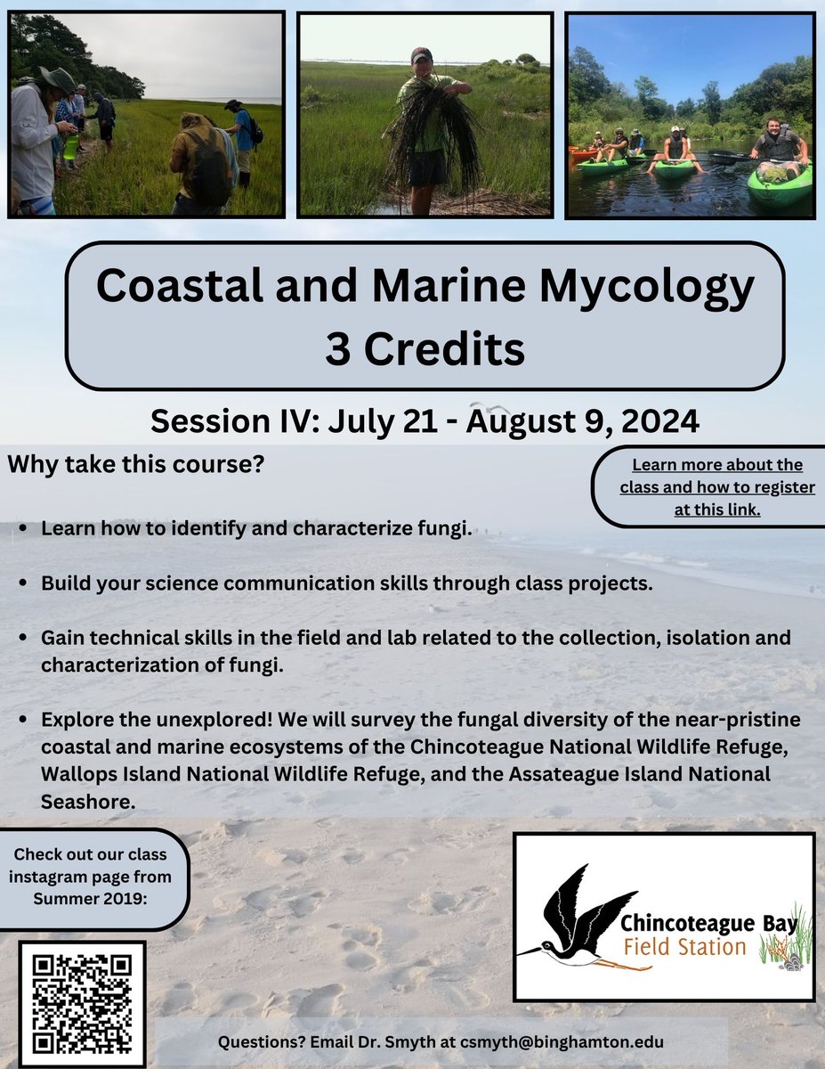 Alright, #Mycology and #MarineBiology world - I would love to get a few more students in my Coastal and Marine Mycology class this summer - please help me spread the word! More info: smythmycology.com/cbfs/marinemyc…
