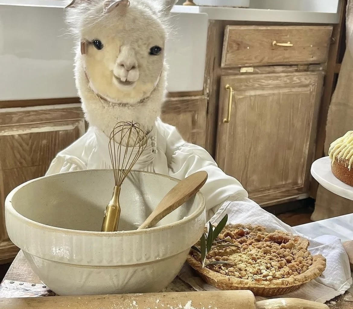 Alpacaonbase's tweet photo. @lennoxxcartel Alpaca always cookin 

0xEcb2b6Aaa278c79b8e440aacF9c27aBaB93D7BaC https://t.co/3g0Qv8Gwj4