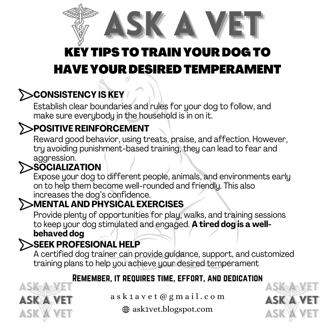 How to Train Your Dog to have Desired Temperament.
#AskAVet #animalcare #PetCare #dogtraining #dogtrainingtips
👇Click the link for more details.
shorturl.at/CDQ78