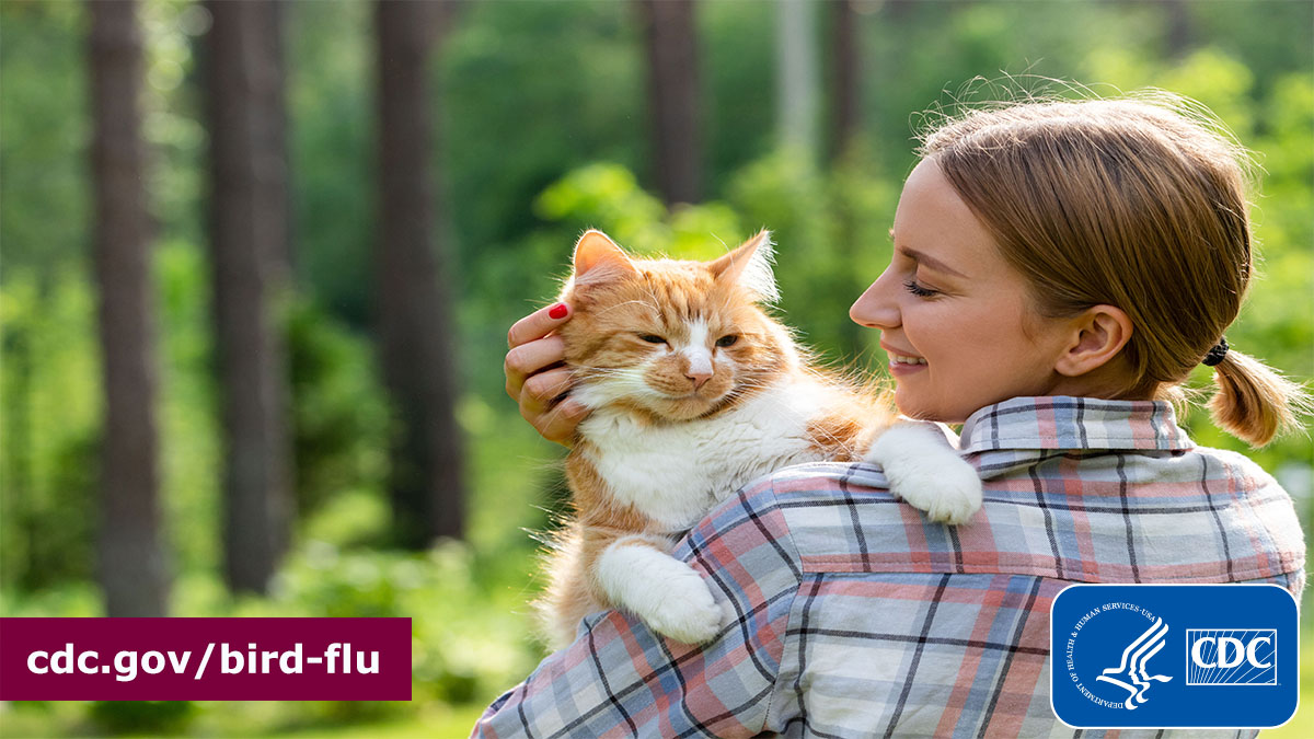 You can take steps to protect your pets during current #birdflu outbreaks in wild birds, poultry & dairy cows. -Monitor pets with outdoor access so they don’t eat or have direct contact with sick or dead birds & animals -Avoid giving pets raw milk More: bit.ly/3pnnWTb