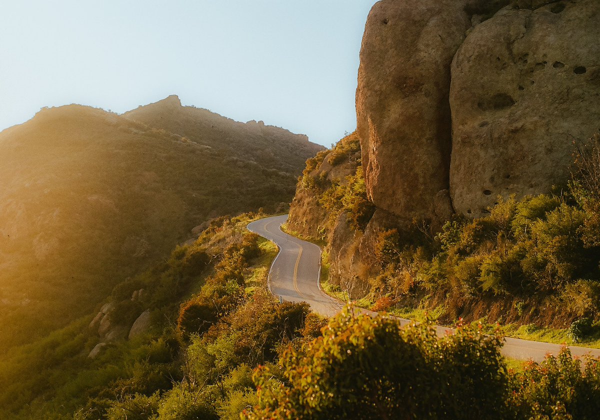 PatsJeremy's tweet image. some old 35mm