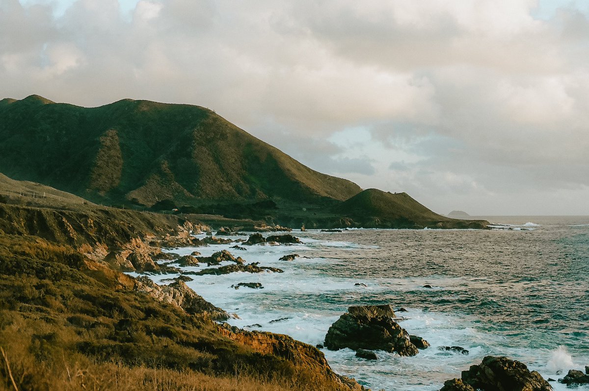 PatsJeremy's tweet image. some old 35mm