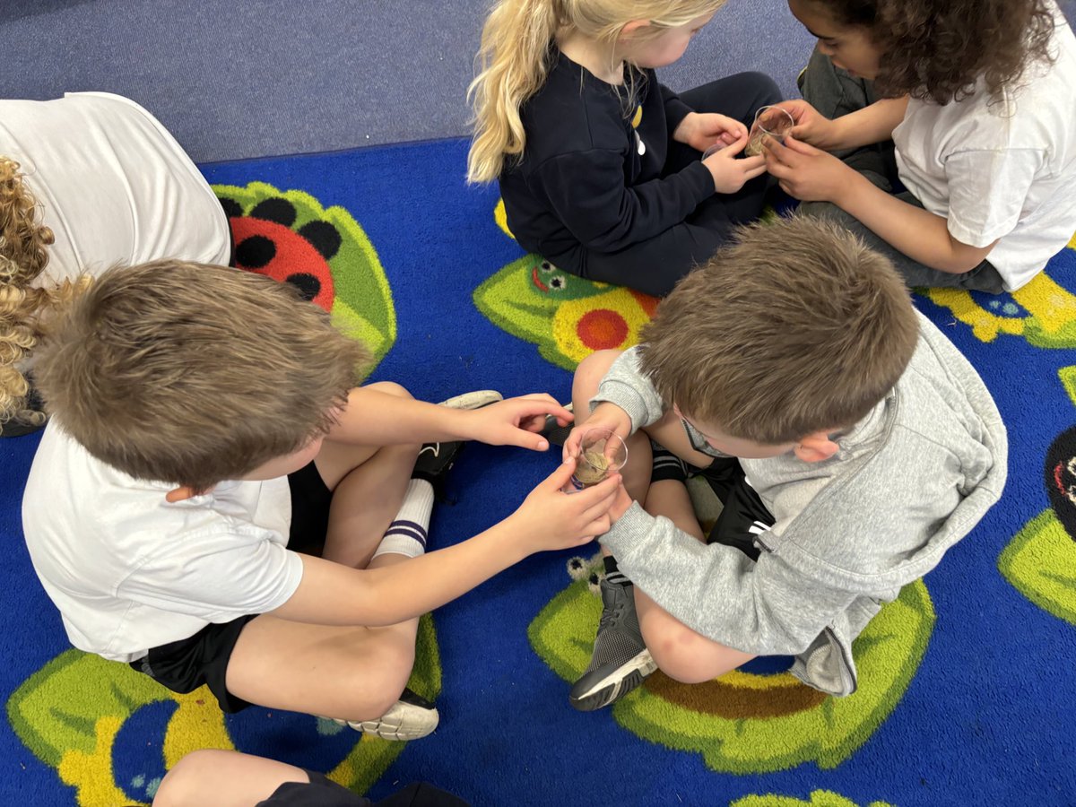 We talked about the lifecycle of a butterfly today and spent some time observing our caterpillars. This prompted lots of discussion about where we have seen caterpillars (“in my car” “on my sock”) and that some caterpillars “eat my Daddy’s plants.” 😊 #EYFS