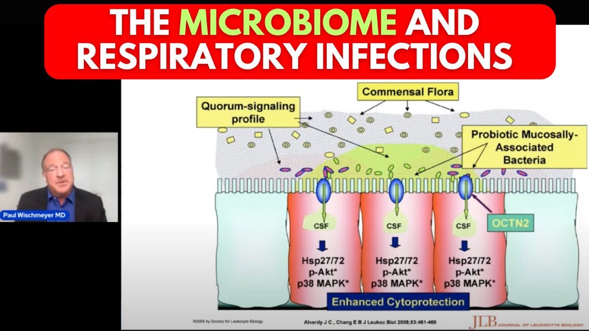 🙋‍♂️Did you know your #microbiome affects all aspects of your life? 🔎 From if a mosquito bites you to who you may have sex with? ❤️ 😷And - you can ⬇️ your respiratory infection risk w/ #probiotics! Learn more in my podcast with @LindsayDixonFP5 🔗 youtube.com/live/lne5GwjFU…