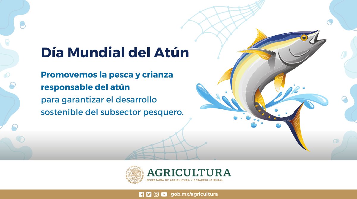 Hoy celebramos el #DíaMundialDelAtún, excelente fuente de proteínas, ácidos grasos omega-3, vitaminas y minerales, y una especie que representa un mercado de oportunidades y transición hacia una pesca y acuacultura sostenible. ¿Dudas? rebrand.ly/oap7nso ¡Te leemos!