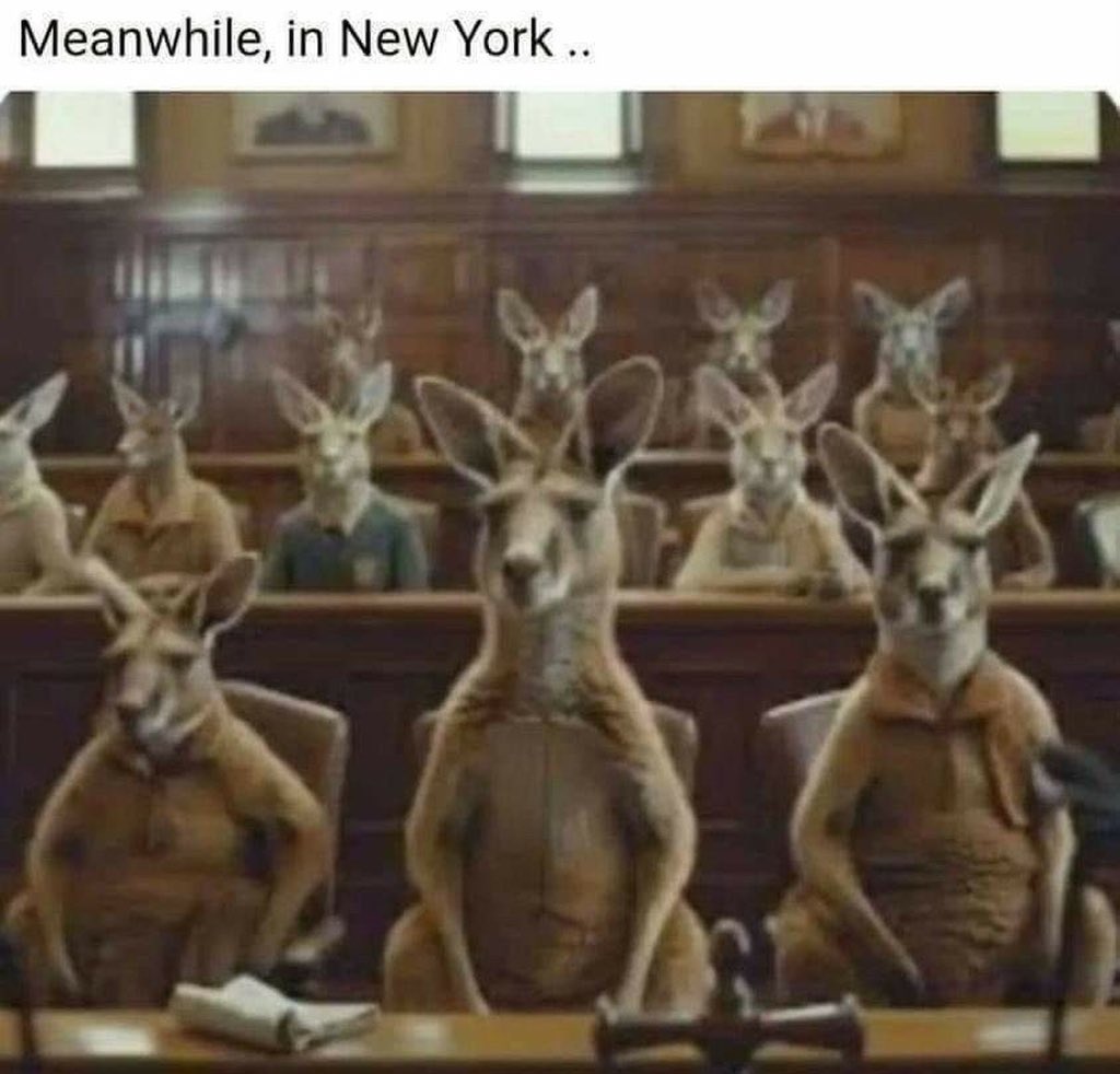 @TM1Politics I swear it’s just a kangaroo court!