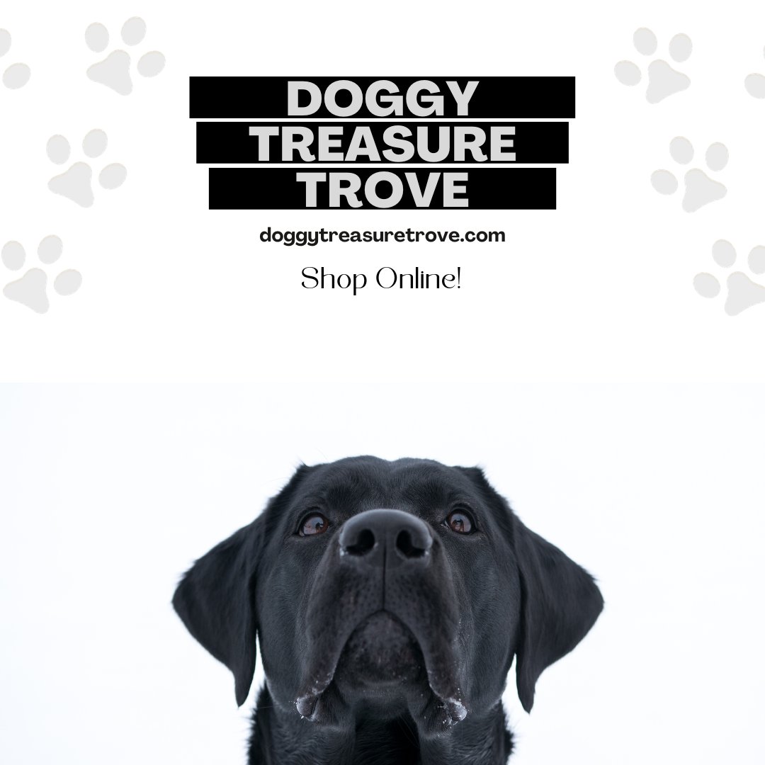 From snouts to tails, we've got it all – your one-stop shop for furry friends!

#petsupplies #dogs #petaccessories #petproducts #petgrooming #dogsupplies #petstagram #doglife #petshoponline #doggrooming #petlover