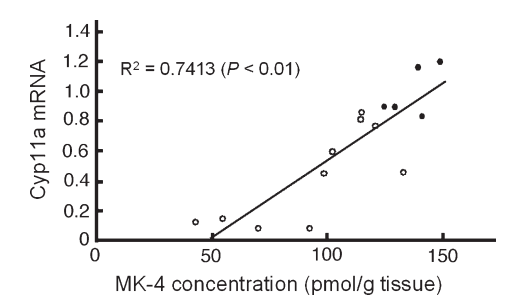 @Helios_Movement Bone marrow is the best source of MK-4.
MK-4 has been shown to dose dependently increase CYP11a, the rate limited enzyme that converts cholesterol into DHT.